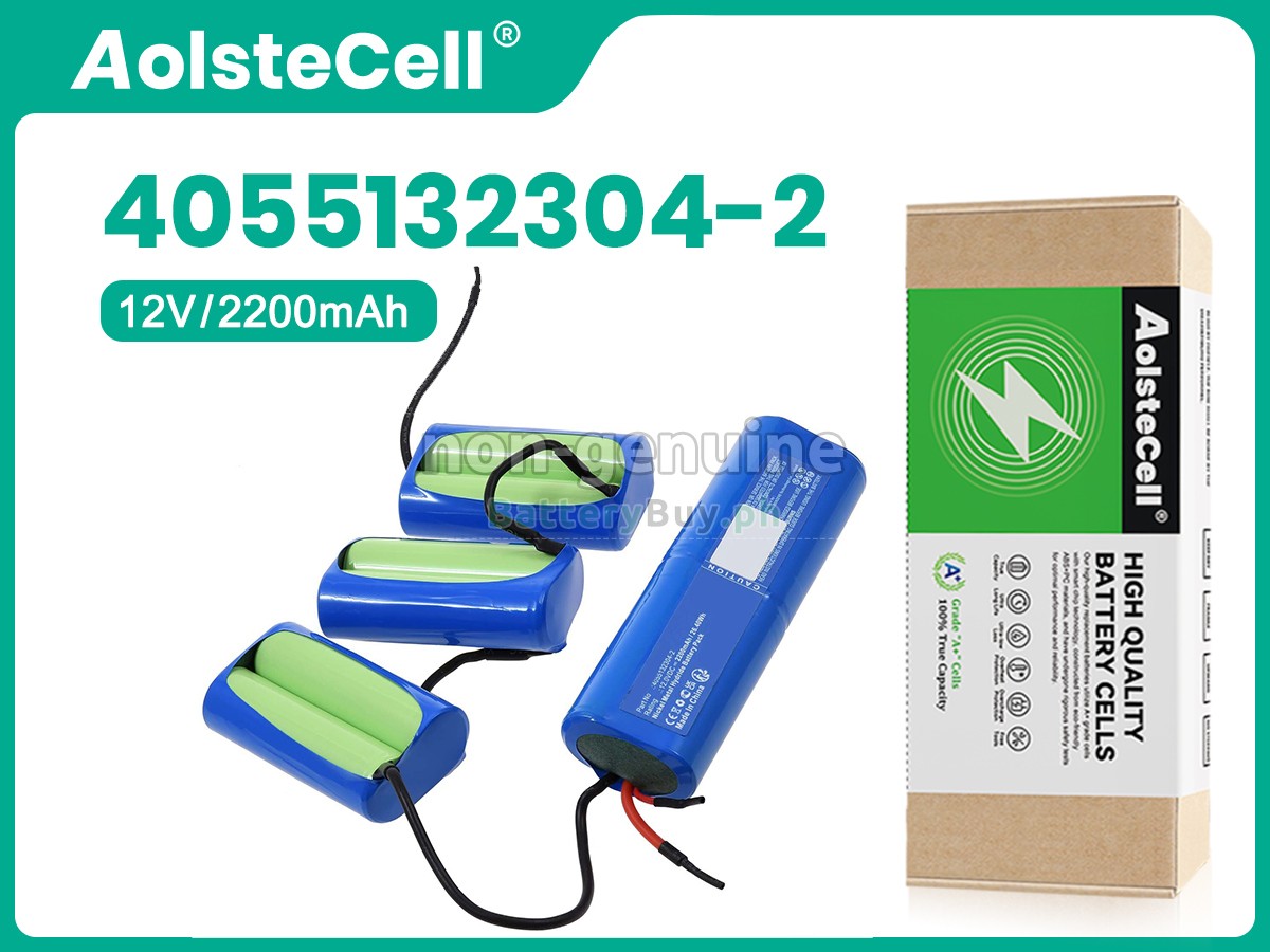 AEG 900165875 Replacement Battery