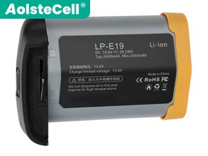 Battery for Canon LP-E19