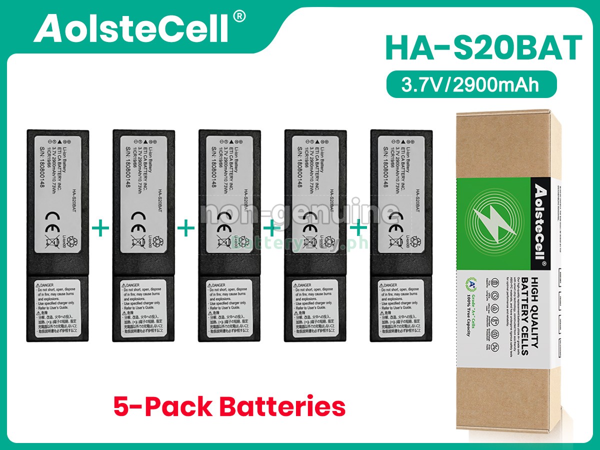 CASIO DT-X400 Replacement Battery