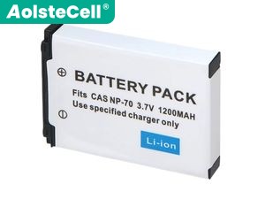 Battery for Casio Exilim Zoom EX-Z250GD