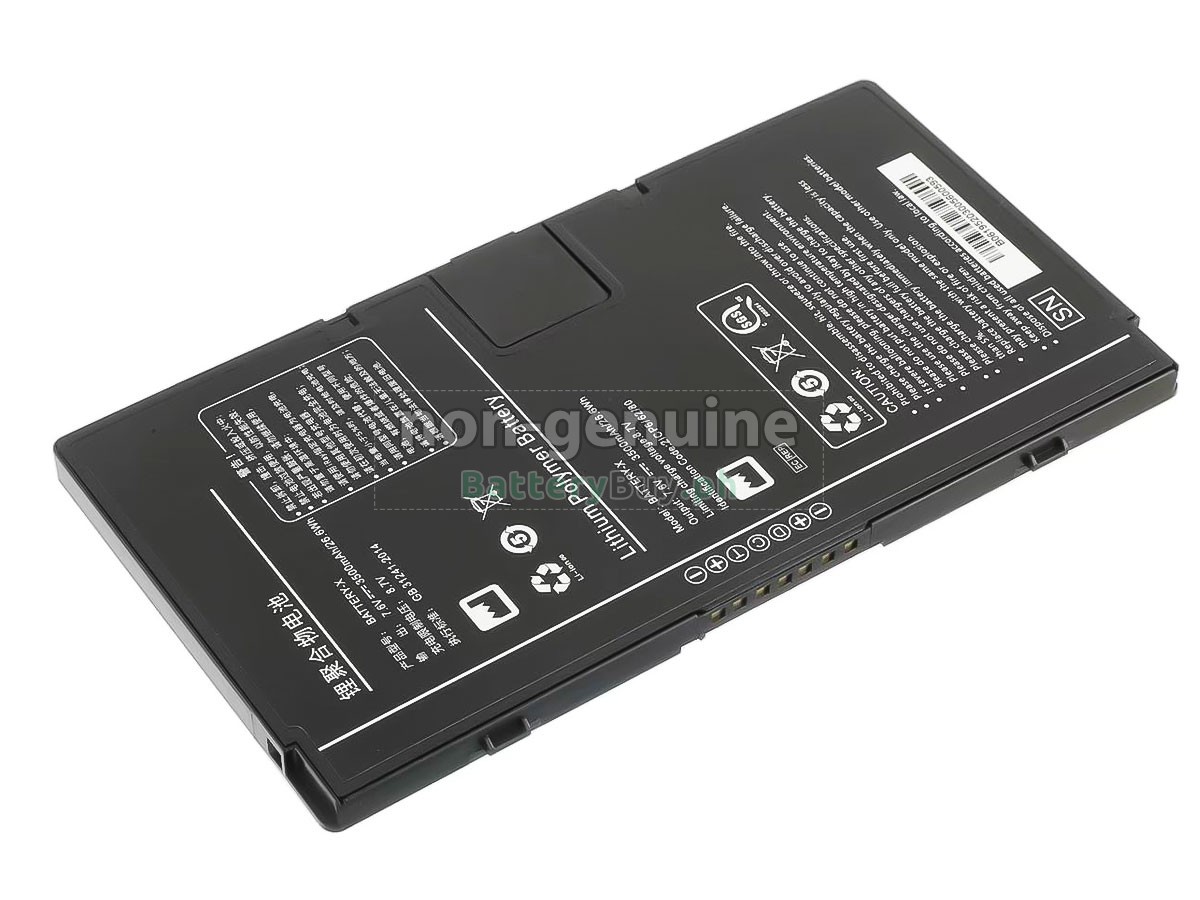 Iray BATTERY-X Replacement Battery