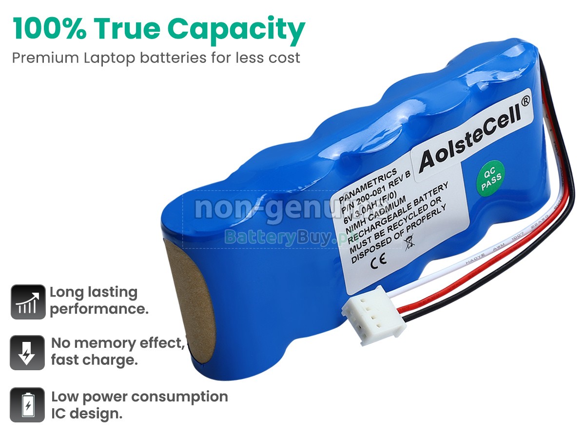 Panametrics 200-081 Replacement Battery