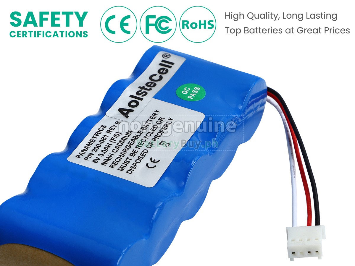 Panametrics 200-081 Replacement Battery