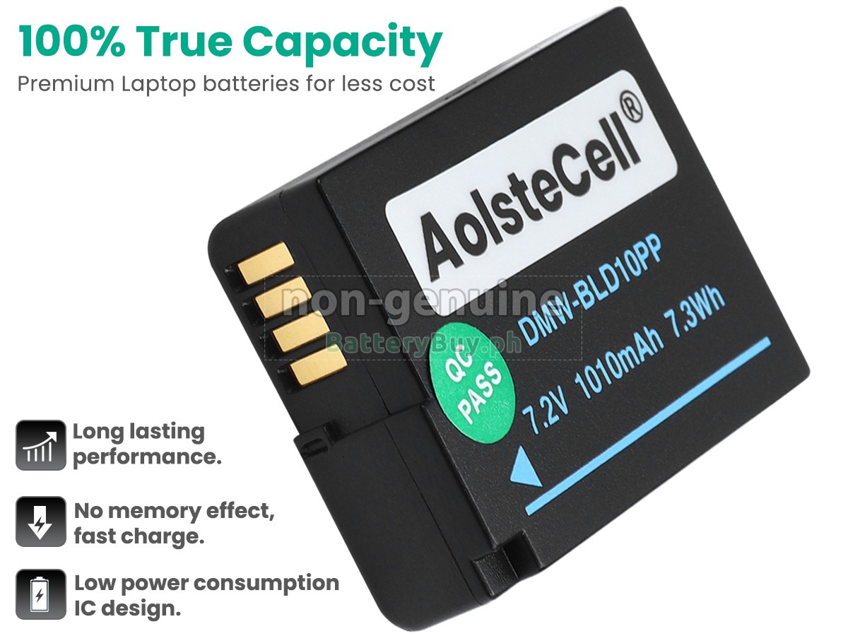 Panasonic DMW-BLD10E Replacement Battery