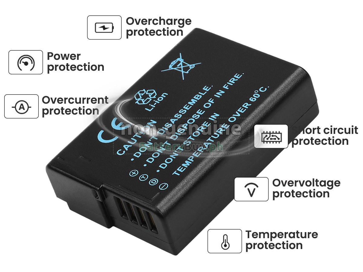 Panasonic DMW-BLD10E Replacement Battery