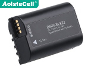 Battery for Panasonic DC-GH5M2