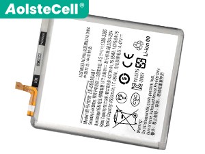 Battery for Samsung Galaxy S21 FE 5G