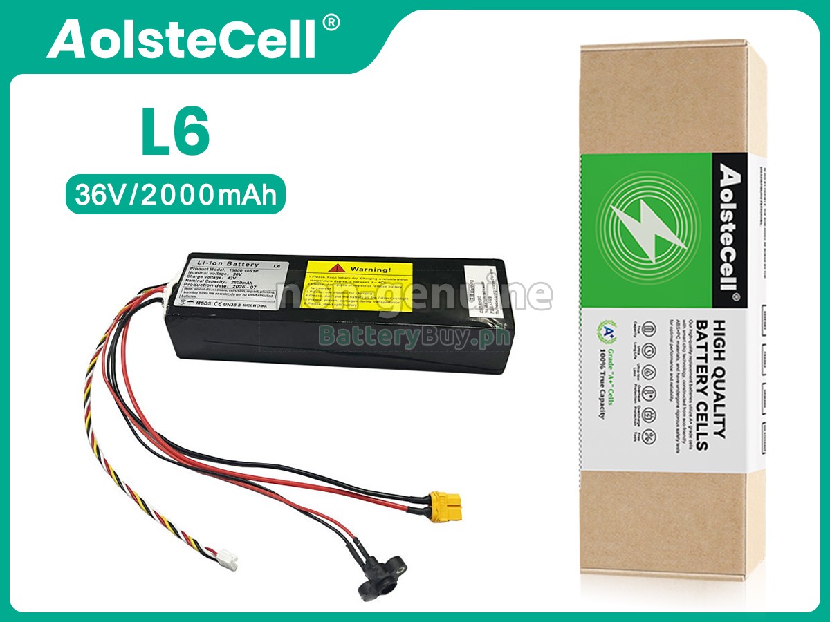 Segway Ninebot L6 Replacement Battery