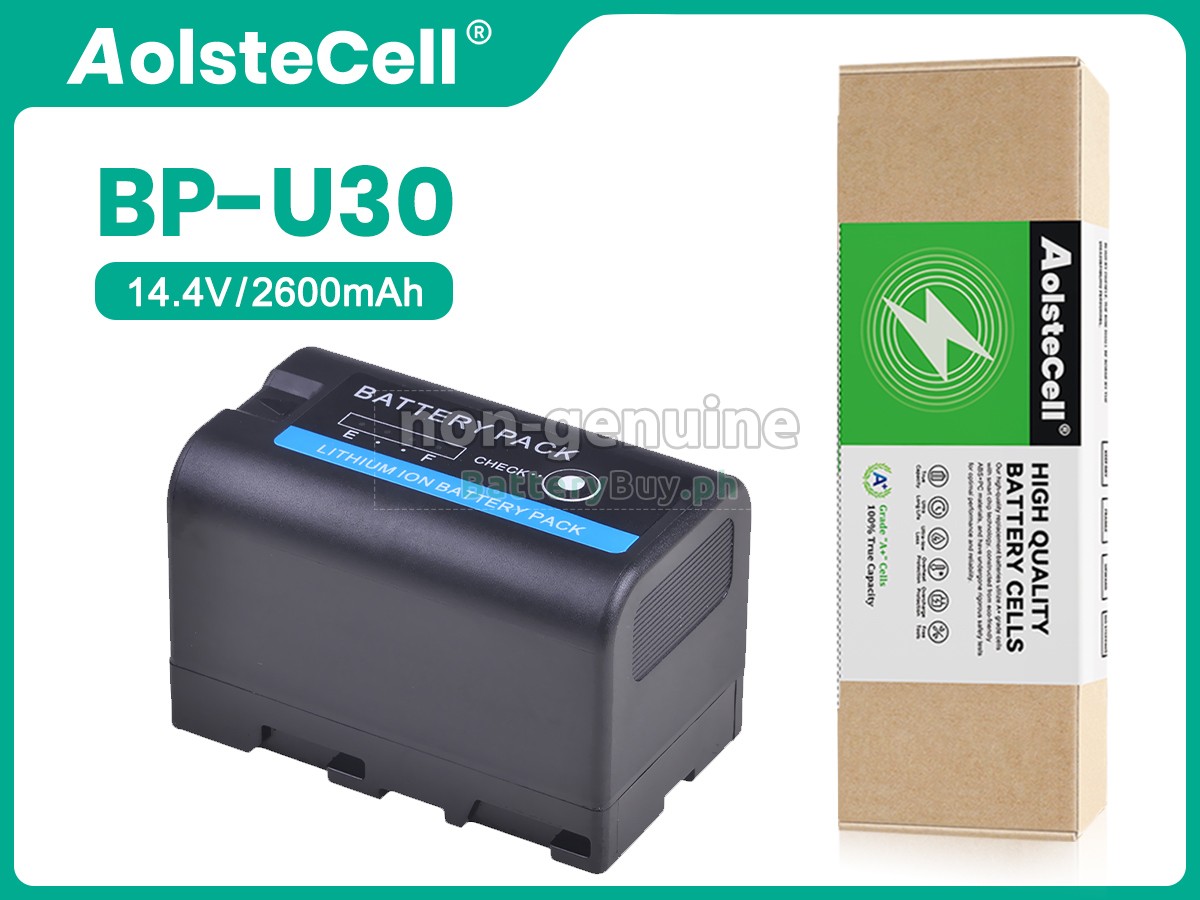Sony BP-U35 Replacement Battery