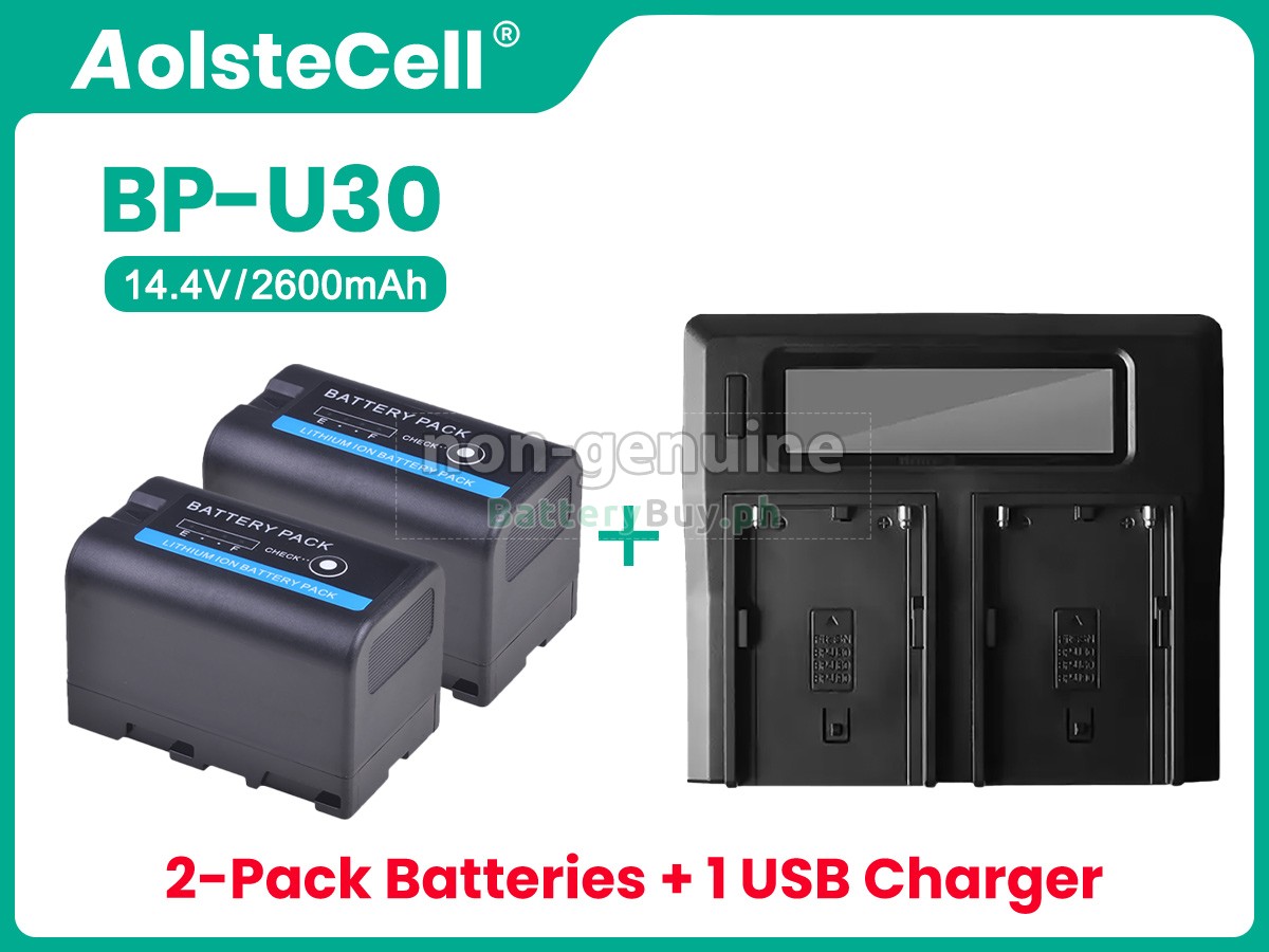Sony BP-U35 Replacement Battery