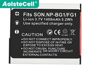 Battery for Sony DSC-W300
