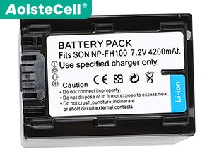 Battery for Sony NP-FH100